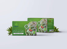 Load image into Gallery viewer, Trà cà gai leo - dạng túi lọc